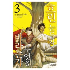 흐린 눈동자로 무엇을 바라는가: 하이세르크 전기 3, 학산문화사, 사이토 야노미, 토루토넨, 소타로