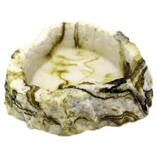 Champ爬蟲類寄居蟹圓形鎖盤, 1個, 米色