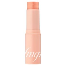 THE FACE SHOP 菲詩小舖 fmgt 台灣公司貨 極光打亮棒 10g, 02陽光珊瑚, 1支