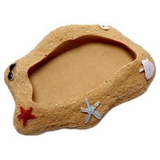 champcrab 爬蟲類海灘碗, 1個, 混色