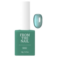프롬더네일 MAGNET GEL, FG265 다크그린, 10g, 1개
