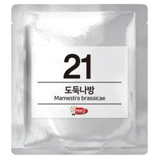 PEST7 費洛蒙誘引劑 21 盜賊蛾, 1個