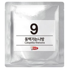 PEST7 費洛蒙引誘劑 09 山茶尺蛾, 1個