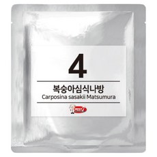 PEST7 費洛蒙誘引劑 04 桃蛀蛾