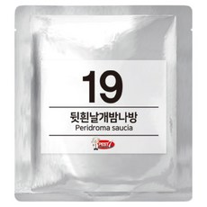 PEST7 費洛蒙誘引劑 19 後白翅夜蛾, 1個