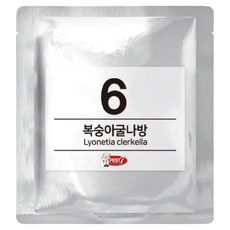 PEST7 費洛蒙誘引劑 06 桃蛀果蛾, 1個