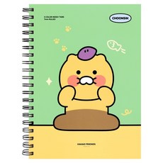 춘식이 인덱스 스프링 노트 L, 1개