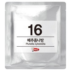 페스트세븐 페로몬 유인제 16 배추좀나방
