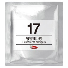 PEST7 費洛蒙誘引劑 17 棉鈴蟲, 1個