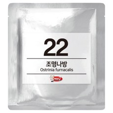 PEST7 費洛蒙誘引劑 22 燈蛾, 1個