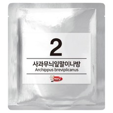 PEST7 費洛蒙誘引劑 02 蘋果捲葉蛾, 1個