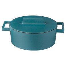 Sambonet 雙耳附蓋陶土色鑄鐵砂鍋, 1個, 24.5cm, 青綠色