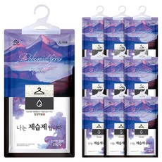 홈트너 나는 제습제 입니다 옷장용 본품, 250g, 10개