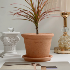 ENVIE CASA 手工陶盆 + 底盤組, 1個, 桃色