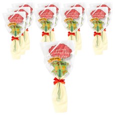 minhwashop MDF 康乃馨一般花束製作套組 S240096A, 混合顏色, 10套