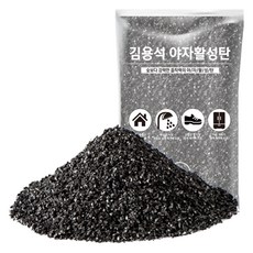 김용석생활연구소 야자활성탄 공기정화 실내 탈취제 본품, 1kg, 1개