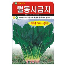 아람종묘 월동 시금치 씨앗, 1개