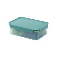 락앤락 프레쉬 프로텍트 밀폐용기 그린, 1개, 2.8L