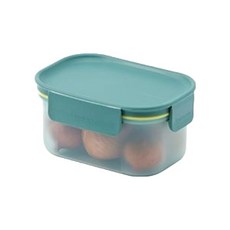 락앤락 프레쉬 프로텍트 밀폐용기 그린, 1개, 385ml