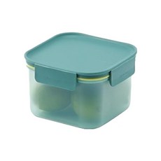 락앤락 프레쉬 프로텍트 밀폐용기 그린, 1개, 860ml