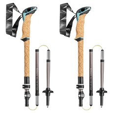 LEKI Plus Pack Cressida FX 碳纖維登山杖套組 65220671P, 混合色