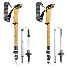 LEKI Plus Pack Cressida FX Carbon AS 登山杖套組 65220591P, 混合顏色