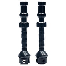 STANS Universal Plus 無內胎氣嘴 一般型, 2個, 單一顏色