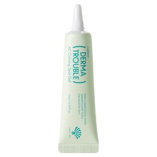 Fusidyne 同和藥品 Derma Trouble AC 鎮靜痘痘凝膠, 1個, 15ml