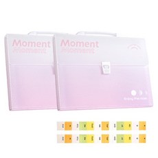 윰스 파스텔 도큐먼트 13칸 2000매 A4 서류 정리함, 핑크, 2개