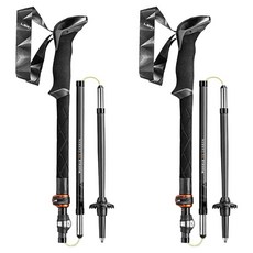 LEKI Makalu FX 碳纖維登山杖 652 20621, 混色