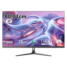 디엑스 QHD 75Hz IPS LED 게이밍 컴퓨터 모니터, 81cm, DX320QHD(무결점)