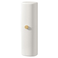 솔브리빙 간단 잠금기능 통풍 휴대용 칫솔 케이스, 화이트, 1개