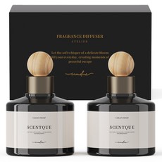 아이엠듀 프리미엄 퍼퓸 차량용 디퓨저 200ml 본품, 클린솝, 2개