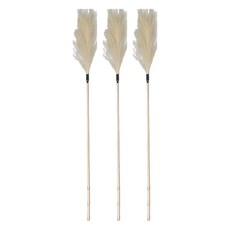 PET Morning 善變貓心, 3個, 米色