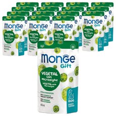 몬지 강아지 기프트 뉴클레오타이드 면역케어 영양제, 60ml, 종합영양제, 16개