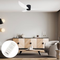 원하 DS 르슈아 저소음 실링팬 40W 1150mm + 리모컨 세트, 블랙 + 화이트