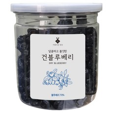 아름다운정성 말린 건조 건블루베리, 1개, 260g