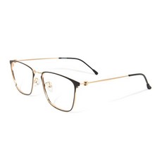 ALEGANT 復古優雅法式輕量鈦金屬光學方框UV400濾藍光眼鏡