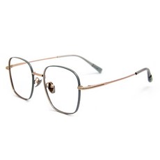 ALEGANT 精緻輕量鈦質感霧面光學方框UV400濾藍光眼鏡