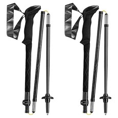 LEKI Black Series FX Carbon 登山杖 652 290011 2入, 1個, 混合色