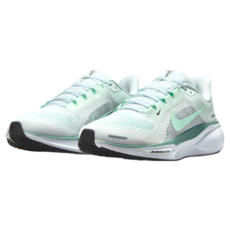 NIKE 耐吉 女款 W AIR ZOOM PEGASUS 41 運動鞋 FD2723-113