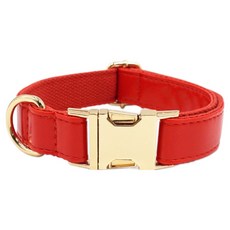 테이아 강아지 버디넥 가죽 목밴드, 레드, 1개