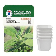 KNOWN-YOU SEED 農友種苗 鼠尾草Sage 種子 + 2吋 5個方盆香草育苗專用八角方盆 2吋 5個, 1套