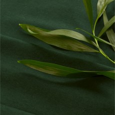 대성섬유로고앤 워싱 11수 린넨원단 무지천, 23 보타닉그린, 1개