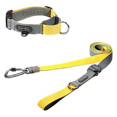 분독 강아지 카라비너 플레이리쉬 320cm + 마틴게일 목줄 세트, 그레이레몬, 1세트