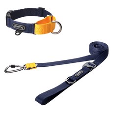 분독 강아지 카라비너 플레이리쉬 250cm + 마틴게일 목줄 세트, 네이비, 1세트