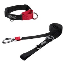 분독 강아지 카라비너 플레이리쉬 250cm + 마틴게일 목줄 세트, 블랙, 1세트