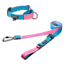 분독 강아지 카라비너 플레이리쉬 320cm + 마틴게일 목줄 세트, 아쿠아핑크, 1세트