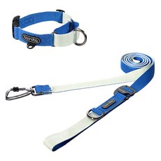 분독 강아지 카라비너 플레이리쉬 320cm + 마틴게일 목줄 세트, 크림블루, 1세트