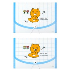 카카오프렌즈 세이치즈 12포켓 아코디언 파일, 라이언, 2개